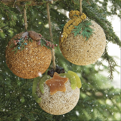Three decorative Christmas seed ornaments hanging on a tree branch.