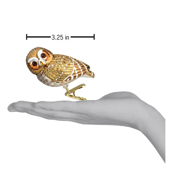 Pygmy Owl Clip On Ornament - size and measurements