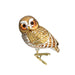 Pygmy Owl Clip On Ornament