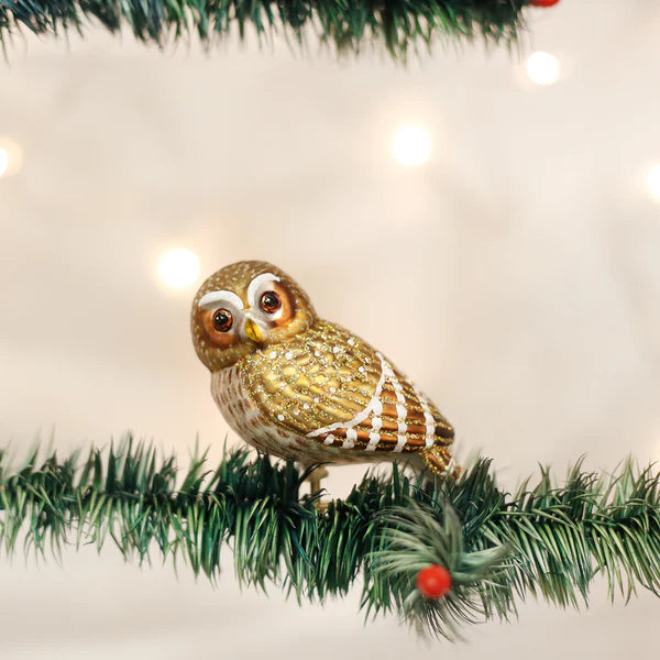 Pygmy Owl Clip Ornament - Thumbnail 2