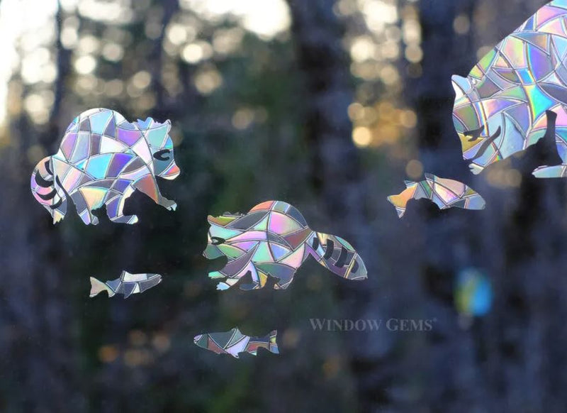 Raccoon and fish Window Clings