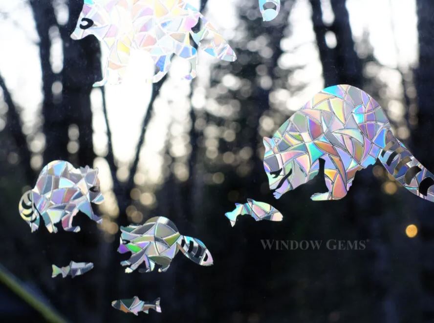 Raccoon Window Clings - Thumbnail 5