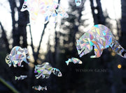 Raccoon  and fish Window Clings