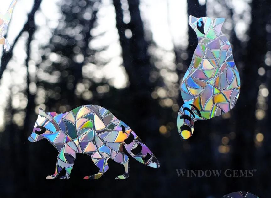 Raccoon Window Clings