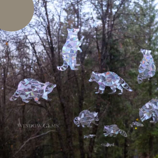 Raccoon Window Clings
