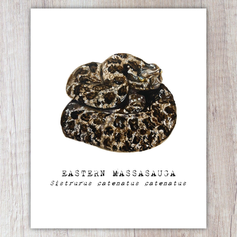 Eastern Massasauga Rattlesnake Note Card