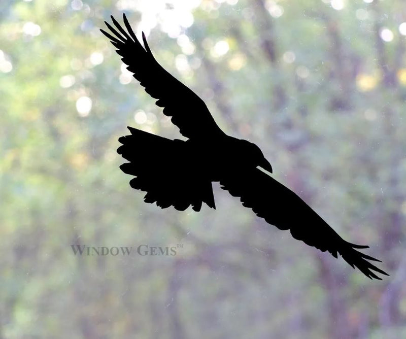 Raven Window Clings