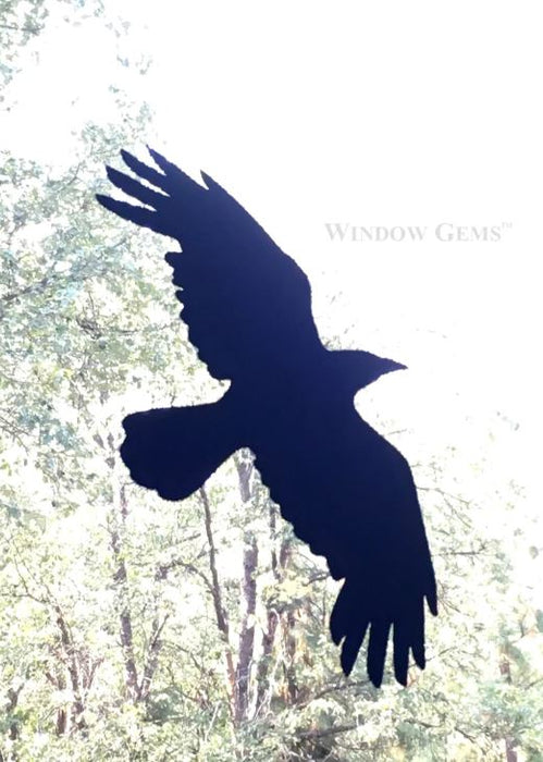 Prism Raven Bird Decals - Keep birds away from your windows — Nature Niche