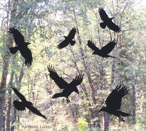 Raven Window Clings