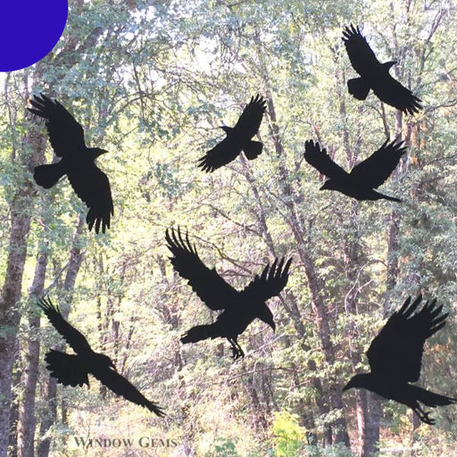 Raven Window Clings