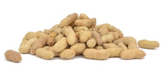 Raw In Shell Peanuts 