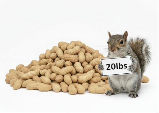 Raw In Shell Peanuts 
