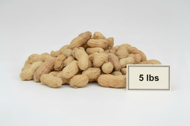 Pile of Raw in-shell peanuts