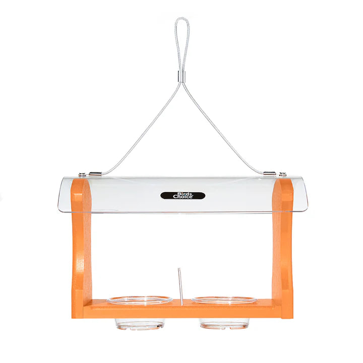 Oriole Bird Feeder - Thumbnail 2