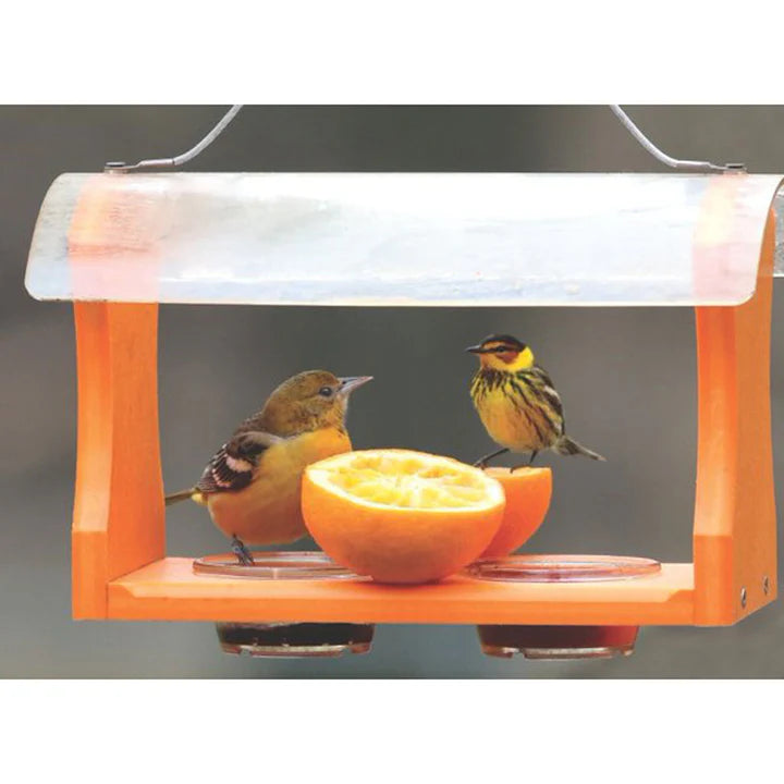 Recycled Oriole Bird Feeder for Oranges and Jelly
feeder in use