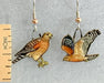 Red-shouldered Hawk Earrings