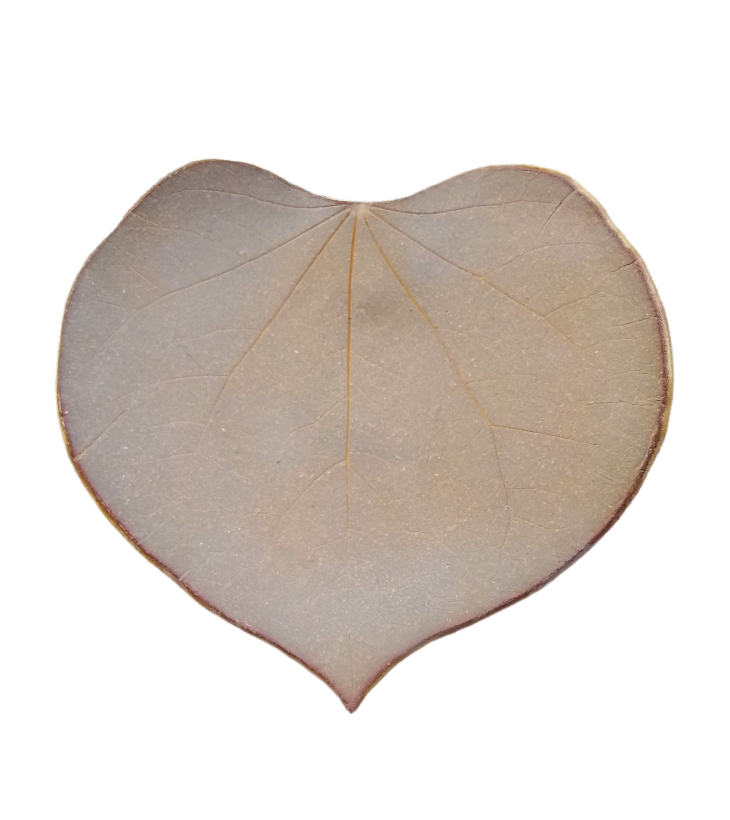 Stoneware Trinket Dish - Eastern Redbud - Thumbnail 2