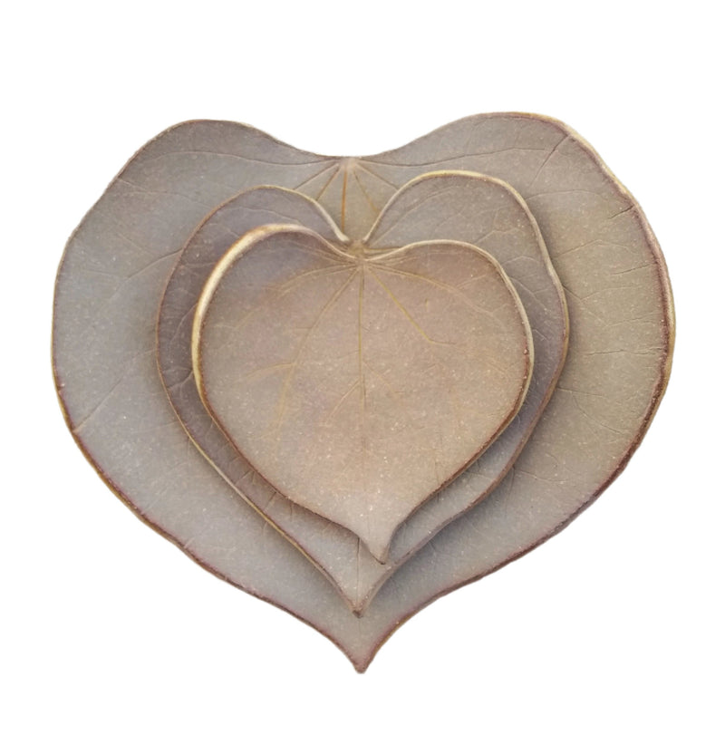 Stoneware Trinket Dish - Eastern Redbud - Size Comparison