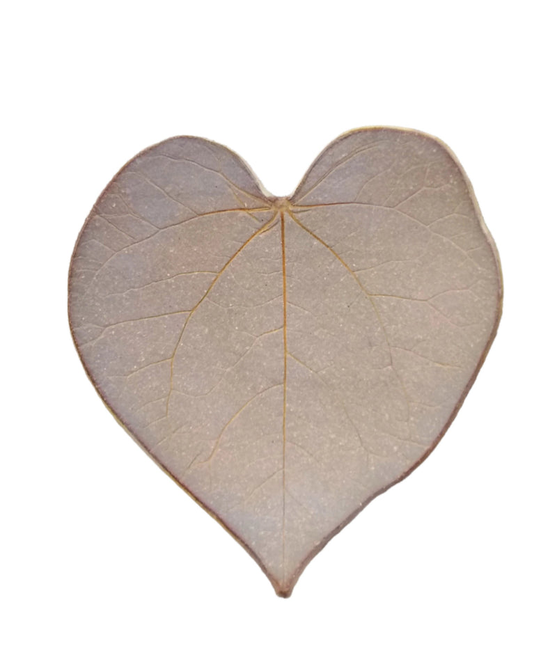 Stoneware Trinket Dish - Eastern Redbud - Small