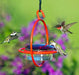 Hummble Bold Hanging Sphere Hummingbird Feeder with Red Perch in use