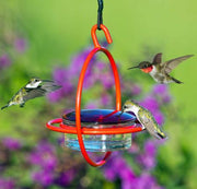 Hummble Bold Hanging Sphere Hummingbird Feeder with Nectar