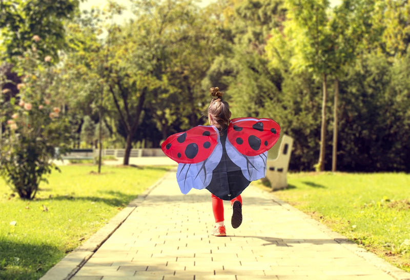 Dress-Up Ladybug Wings
red