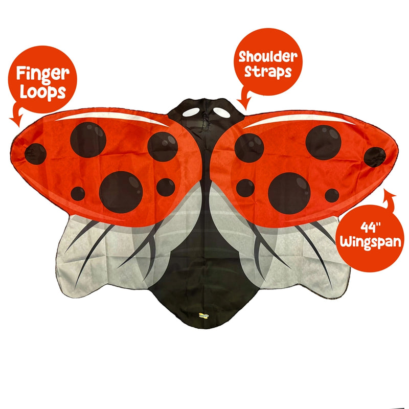Dress-Up Ladybug Wings
red diagram