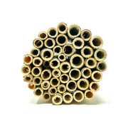 Summer Natural Reeds for Leafcutter Bees 6 mm 
closeup