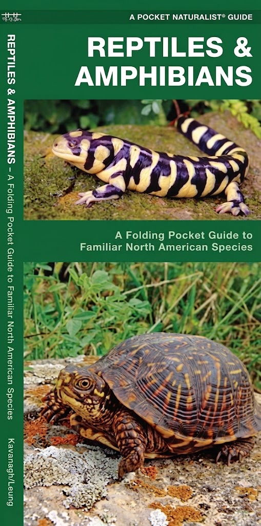 Reptiles and Amphibians