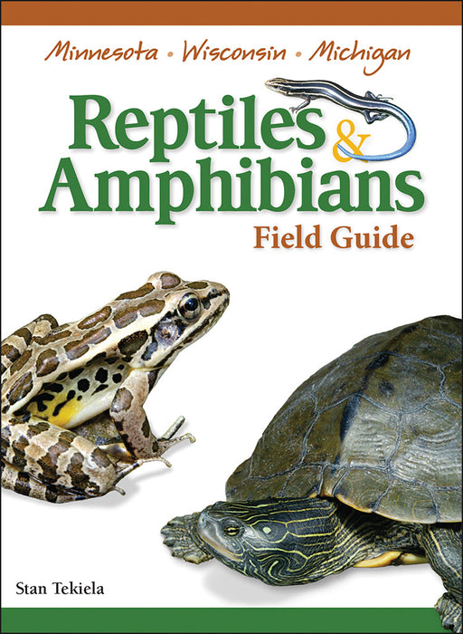 Reptiles & Amphibians of Minnesota, Wisconsin and Michigan Field Guide