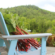 Rhubarb with Dandelion & Honey Botanical Jam
Fresh Rhubbarb