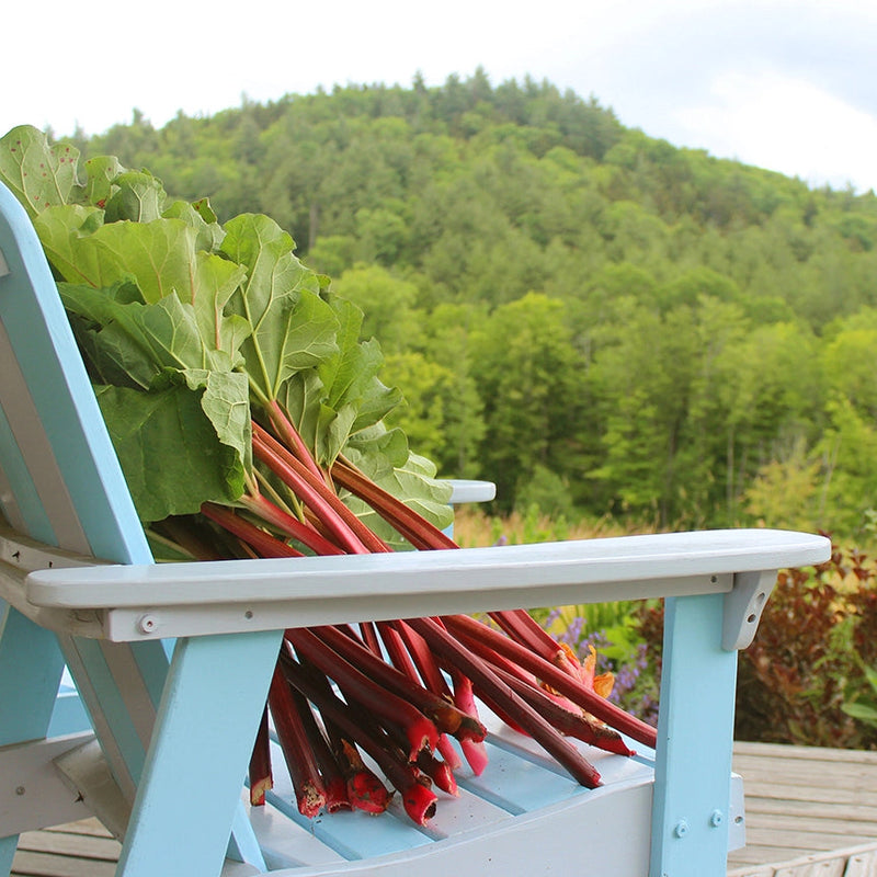 Rhubarb with Dandelion & Honey Botanical Jam
Fresh Rhubbarb