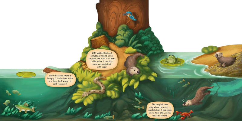 Discovering the World of Nature Along the Riverbank - sample page