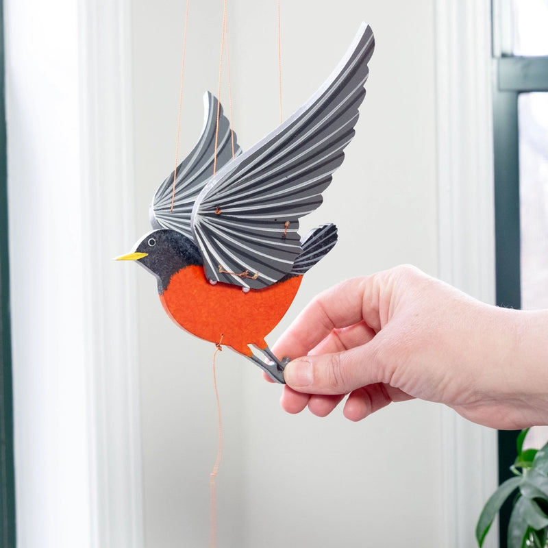 American Robin Bird Flying Mobile