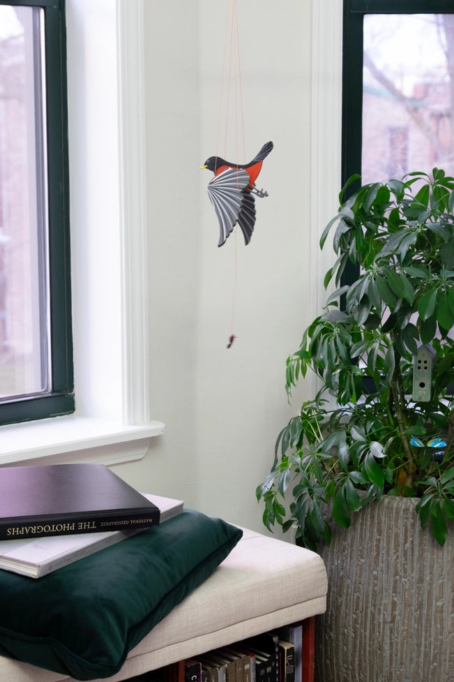 American Robin Bird Flying Mobile