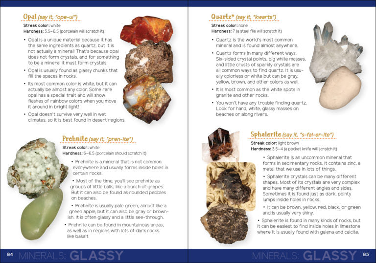 Rock Collecting For Kids