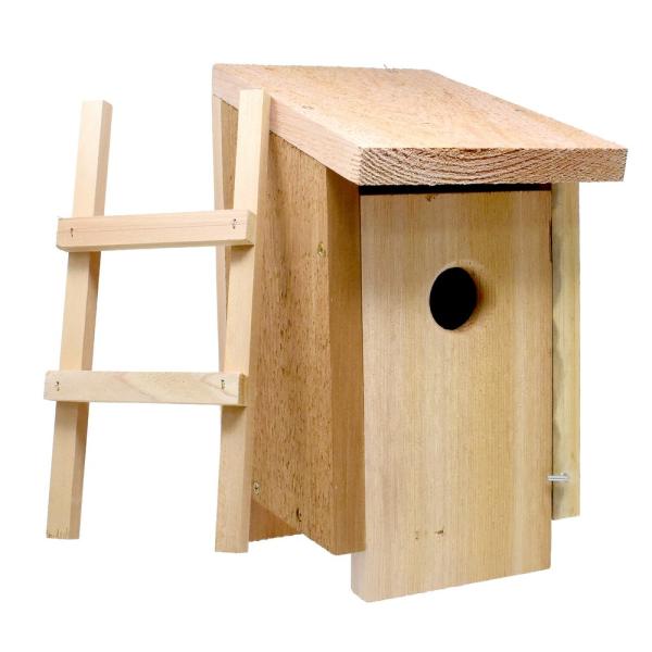 Convertible Cedar Roosting House and Bluebird House - Bluebird nesting box option