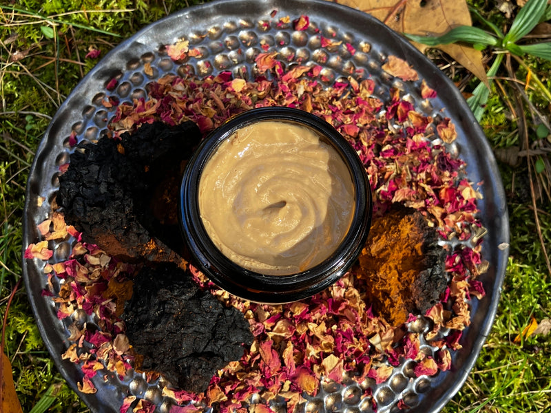 Chaga and Rose Leave-in Conditioner
