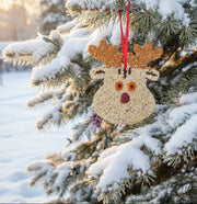 Rudolph Christmas Cookie Seed Ornament with greenery background