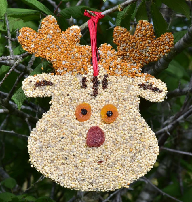 Rudolph Christmas Cookie Seed Ornament with greenery background