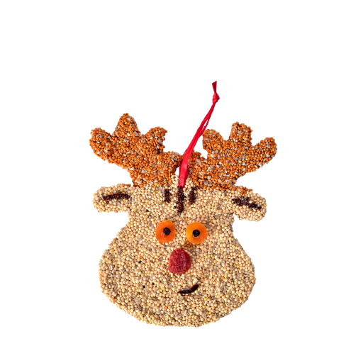 Rudolph Christmas Cookie Seed Ornament