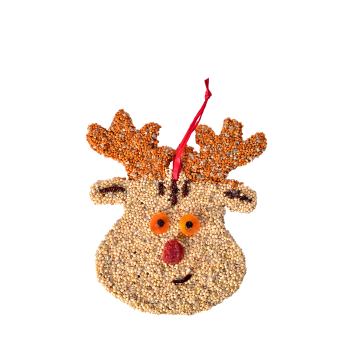 Rudolph Christmas Cookie Seed Ornament