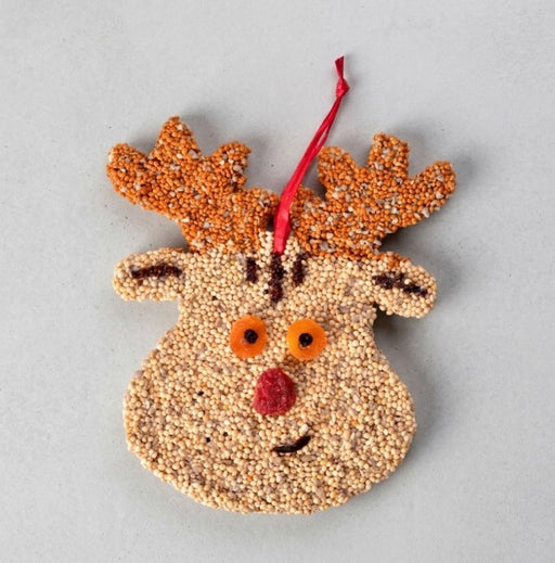 Rudolph Christmas Cookie Seed Ornament