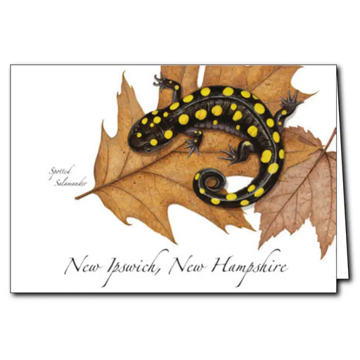 Spotted Salamander Greeting Card