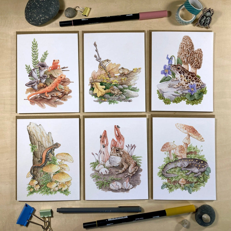 Amphibians & Fungi Recycled Notecards - Set of 6