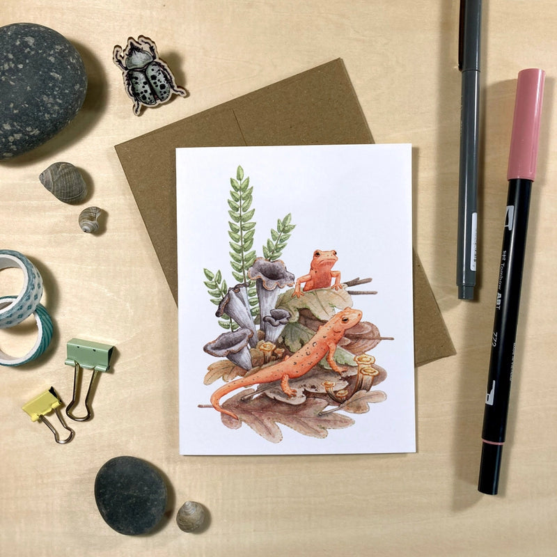 Amphibians & Fungi Recycled Notecards - Set of 6