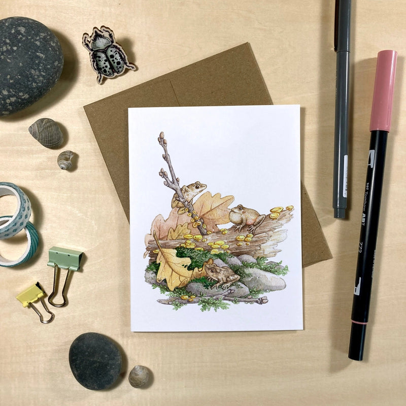 Amphibians & Fungi Recycled Notecards - Set of 6