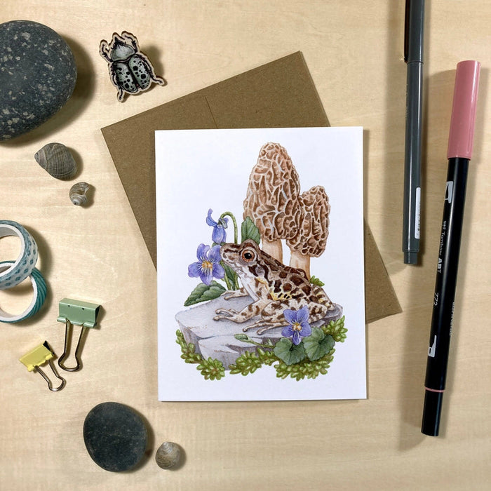 Amphibians & Fungi Recycled Notecards - Set of 6
