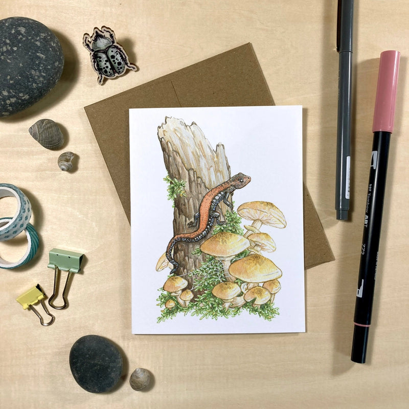 Amphibians & Fungi Recycled Notecards - Set of 6