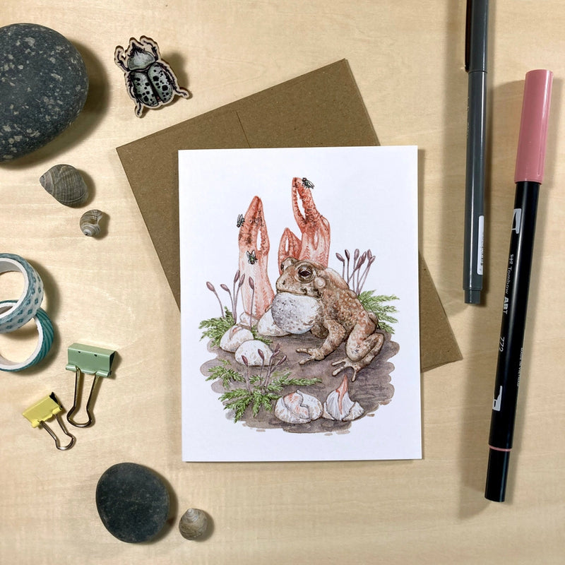 Amphibians & Fungi Recycled Notecards - Set of 6